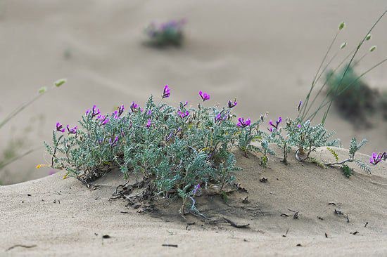 В Дагестане создана межведомственная комиссия по вопросам курортного дела