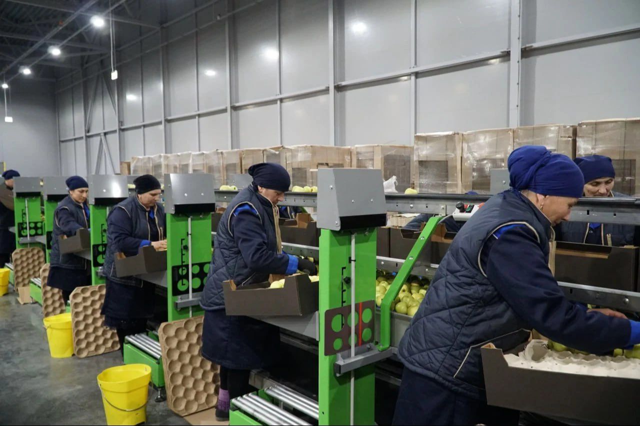 В Дагестане в агропромышленный комплекс инвестируют более 8 млрд рублей