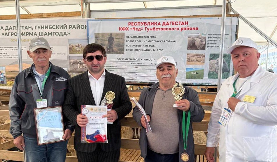 Овцеводы Гумбетовского района представят Дагестан на Всероссийской выставке в Элисте