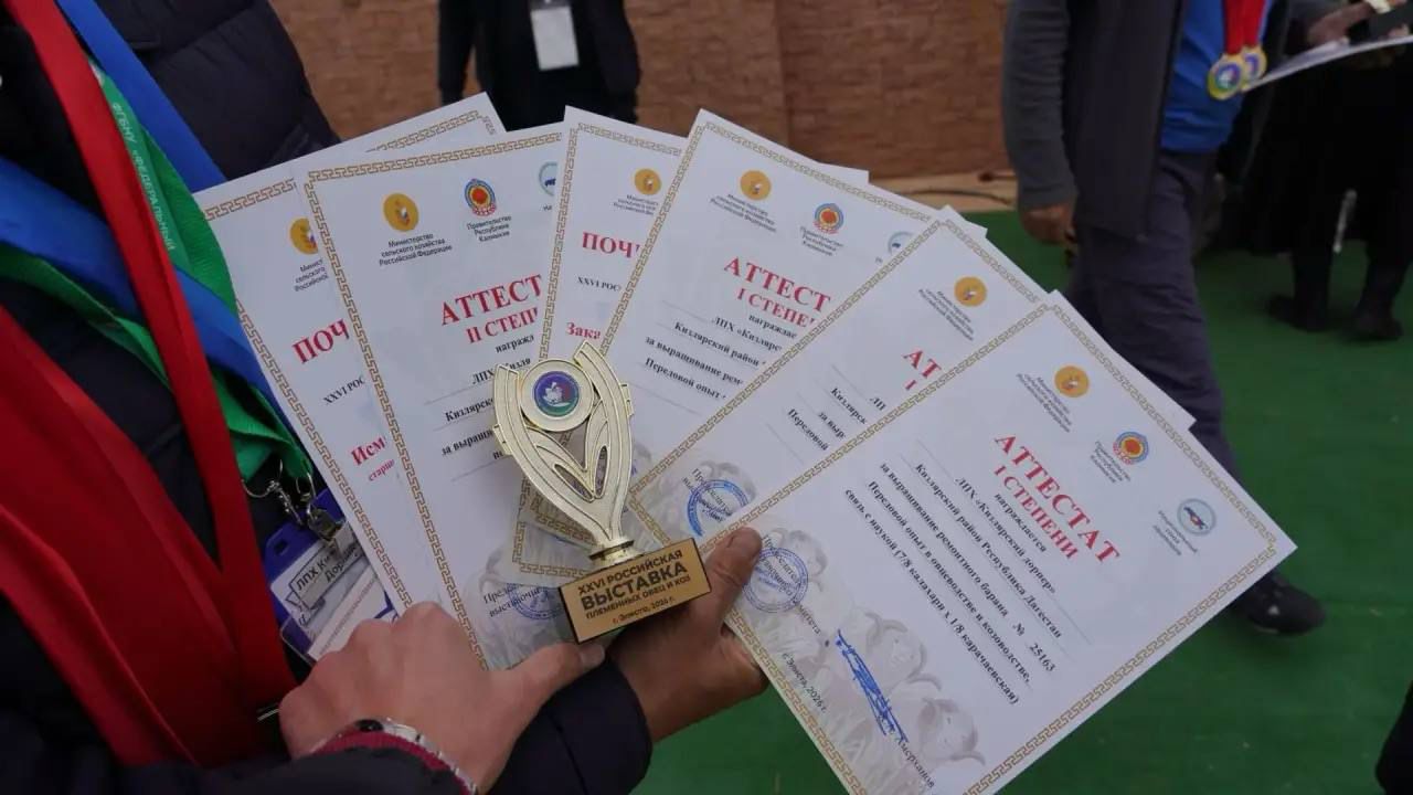 Животноводы Дагестана завоевали свыше 40 наград с Российской выставки племенных овец и коз в Калмыкии