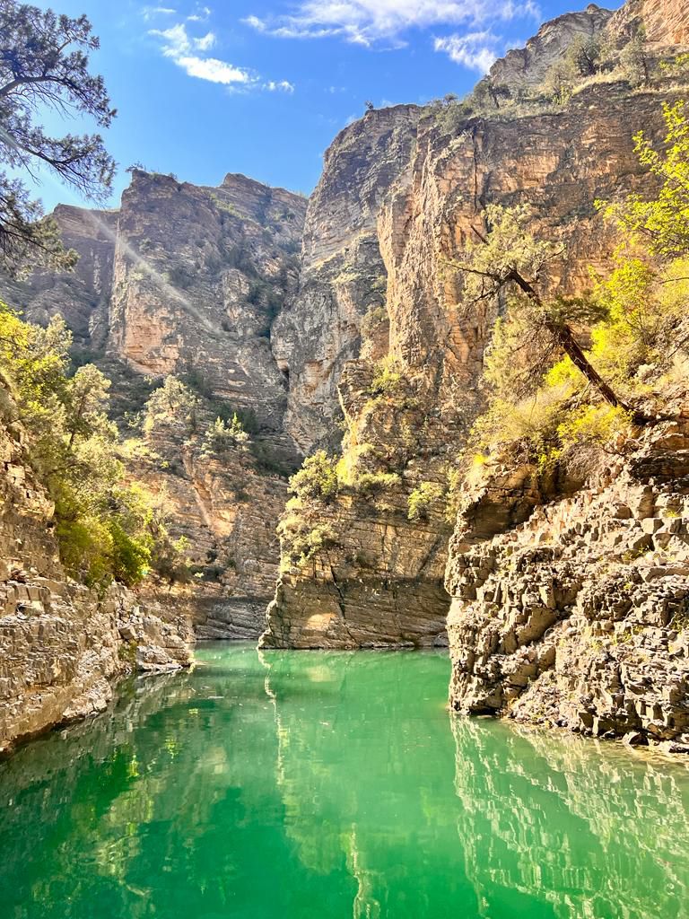 Прогулки на катере "Sport Boat"