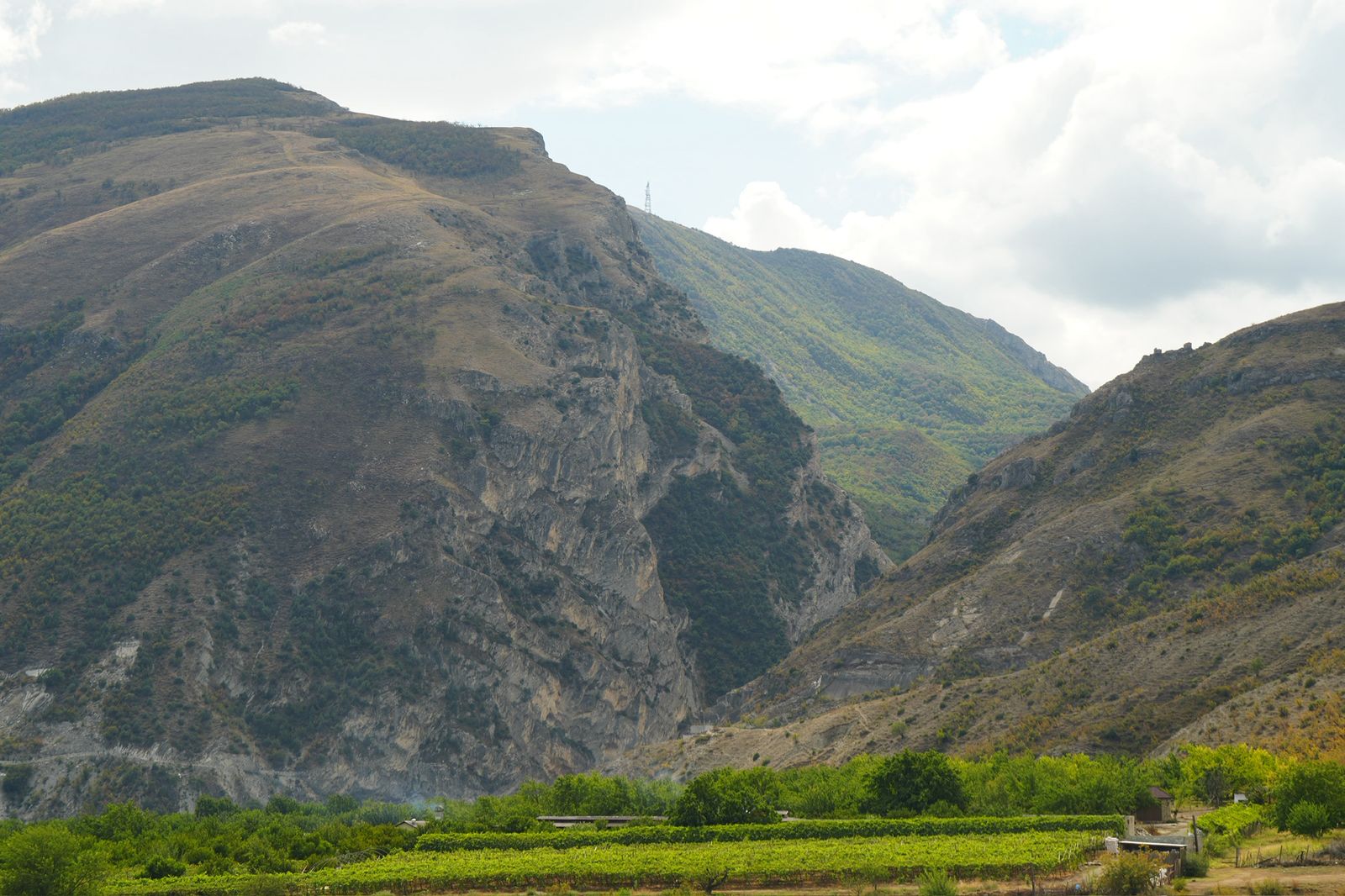 Нескучный сад Салмановых с. Миатли