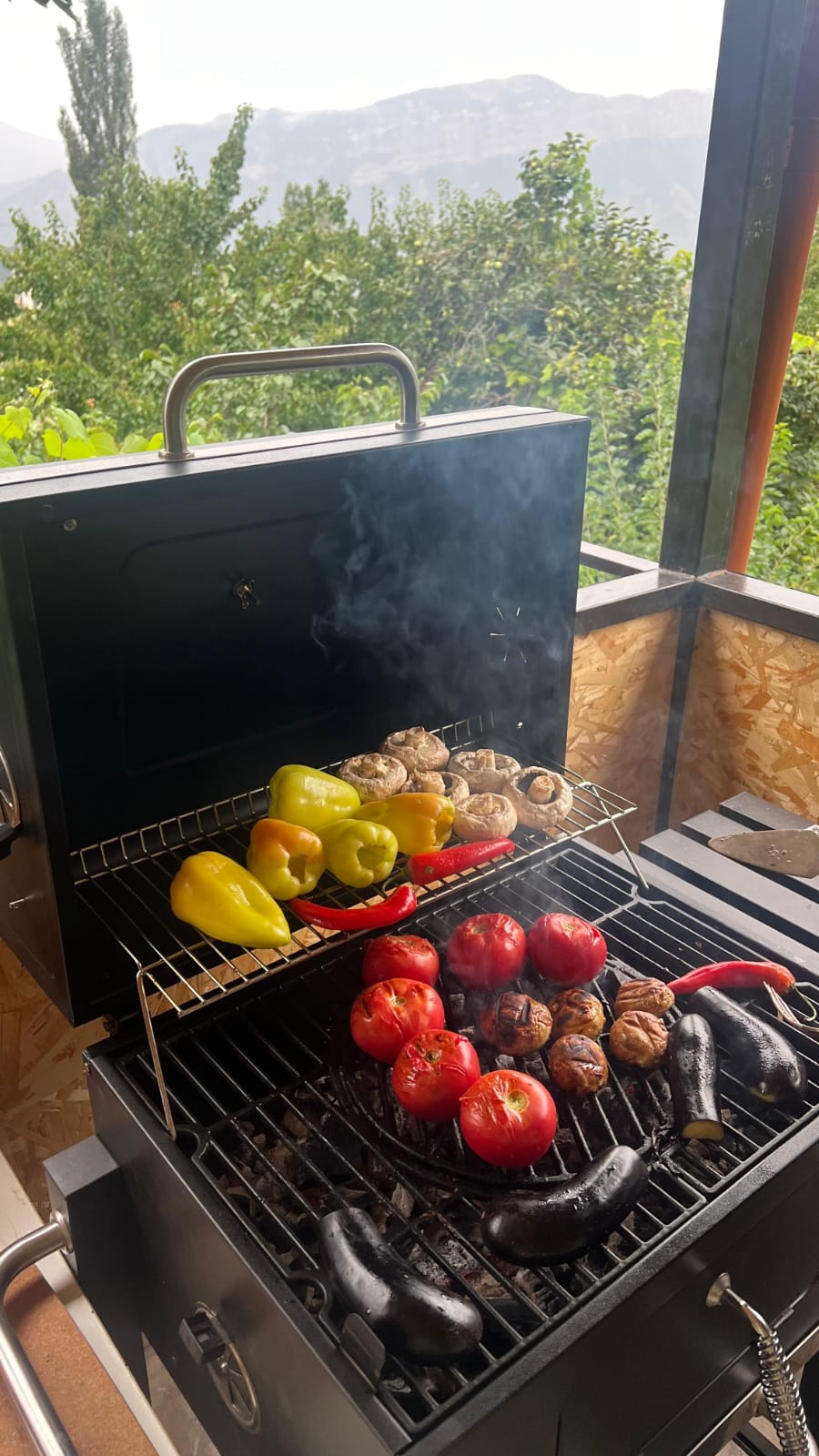 Гостевой дом "Белая Скала" с. Аракани