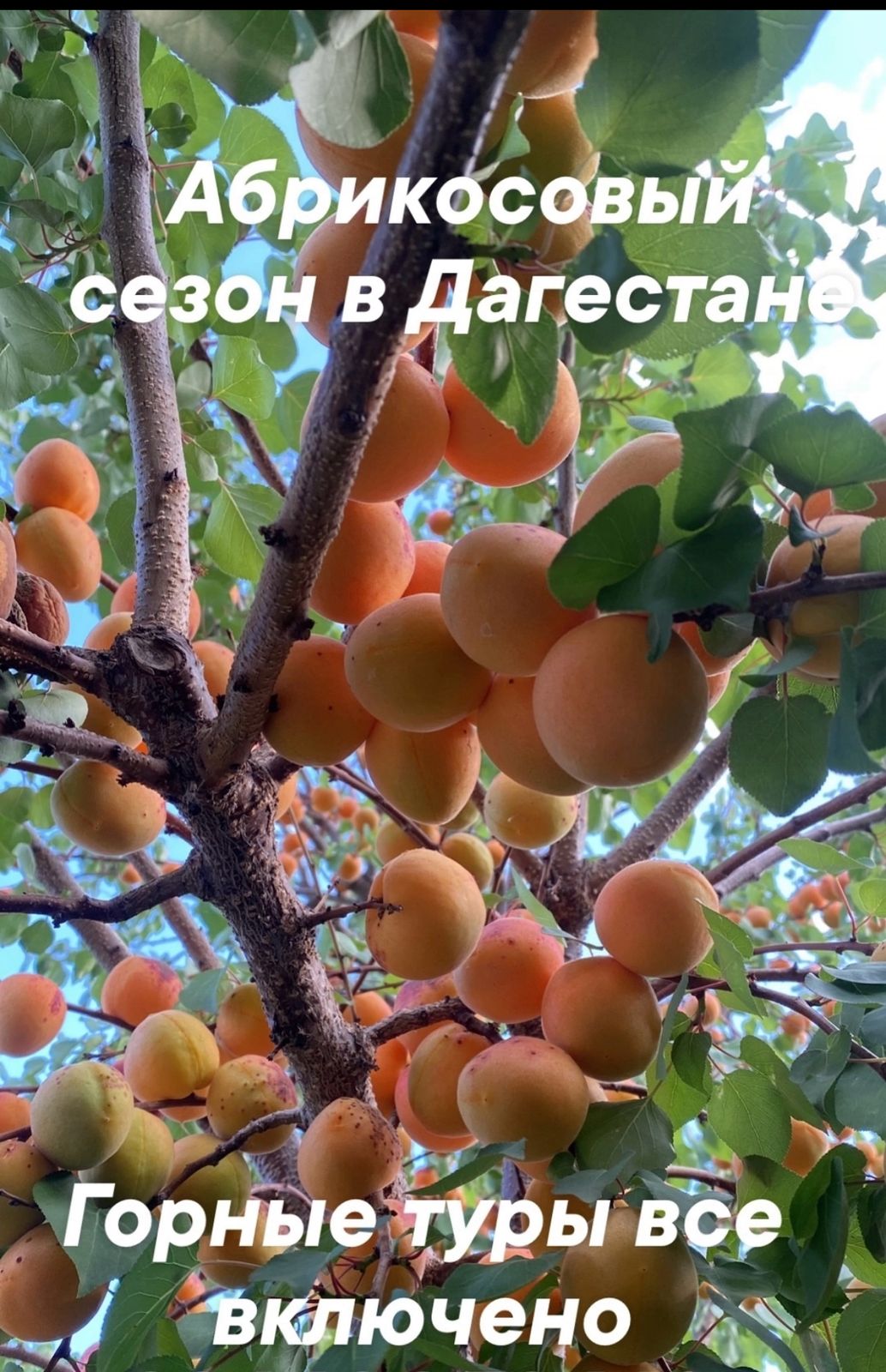 Гид Барият