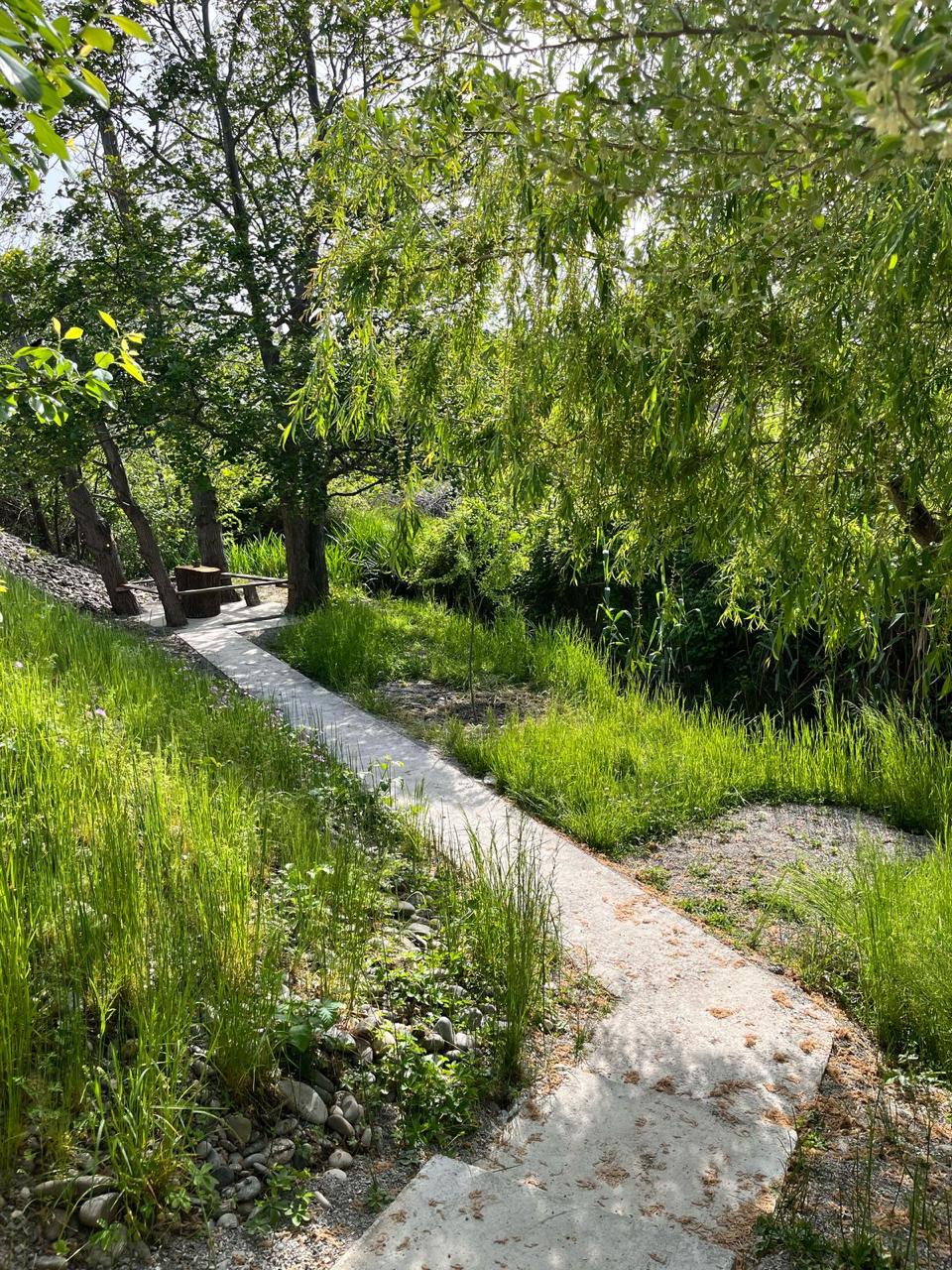 Самурский лес