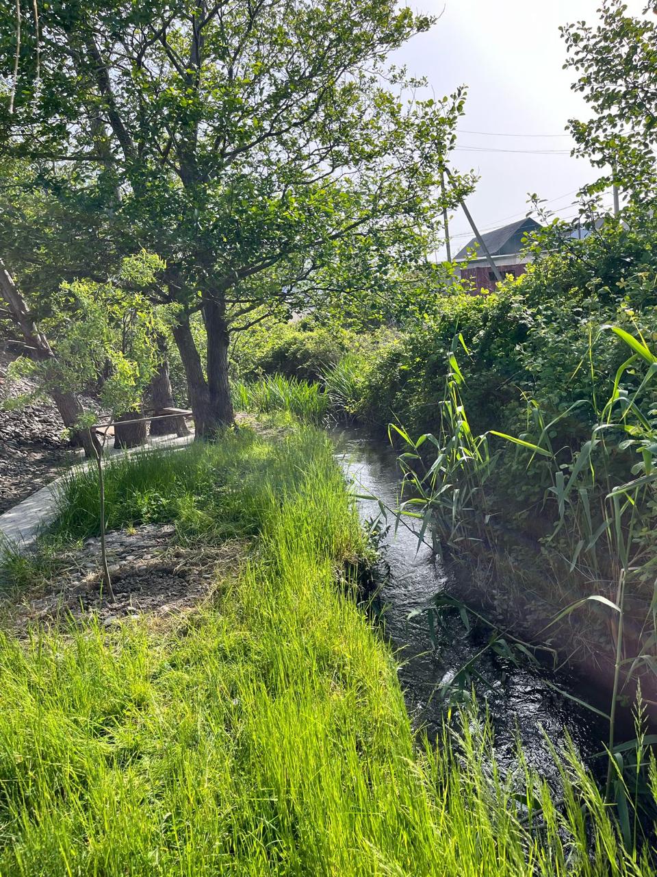 Самурский лес