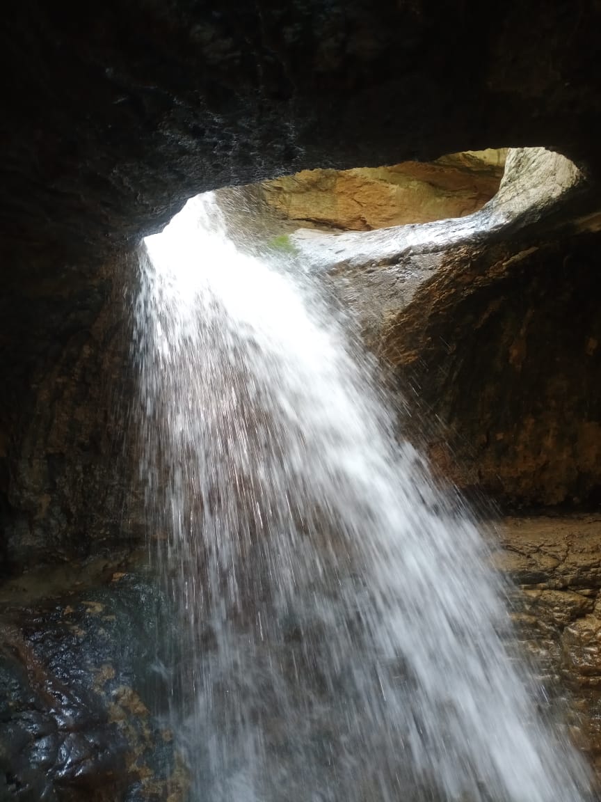 Водитель Гид Арсен