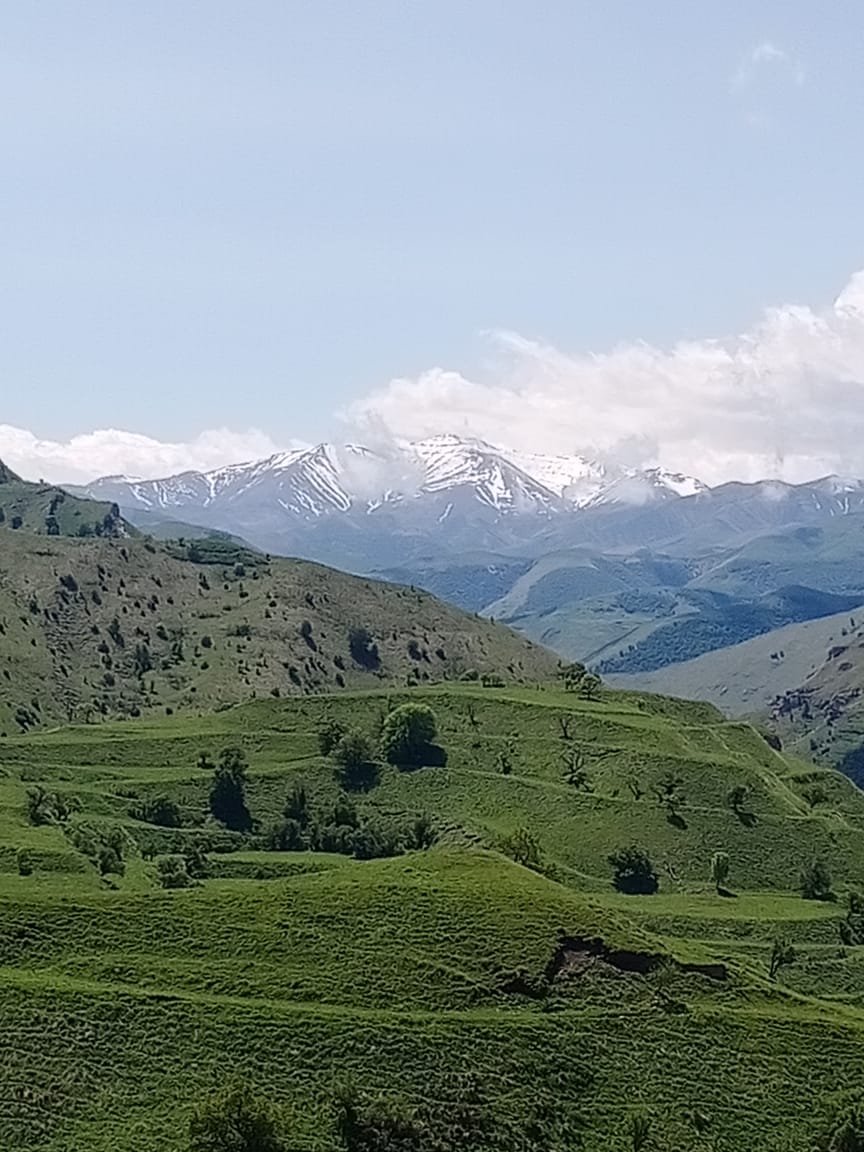 Водитель Гид Арсен