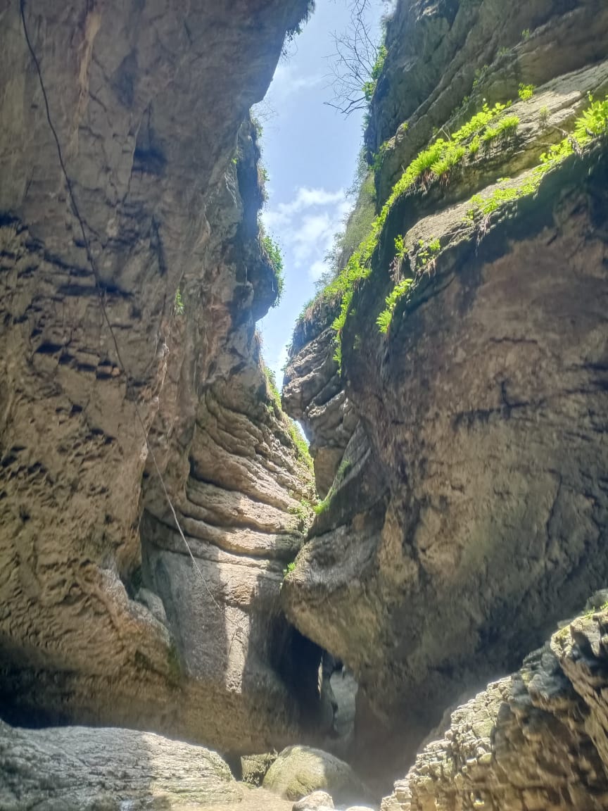 Водитель Гид Арсен