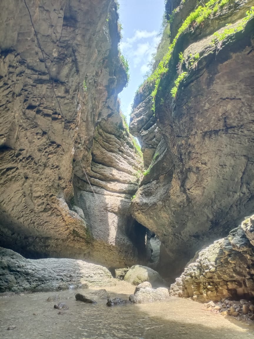 Водитель Гид Арсен