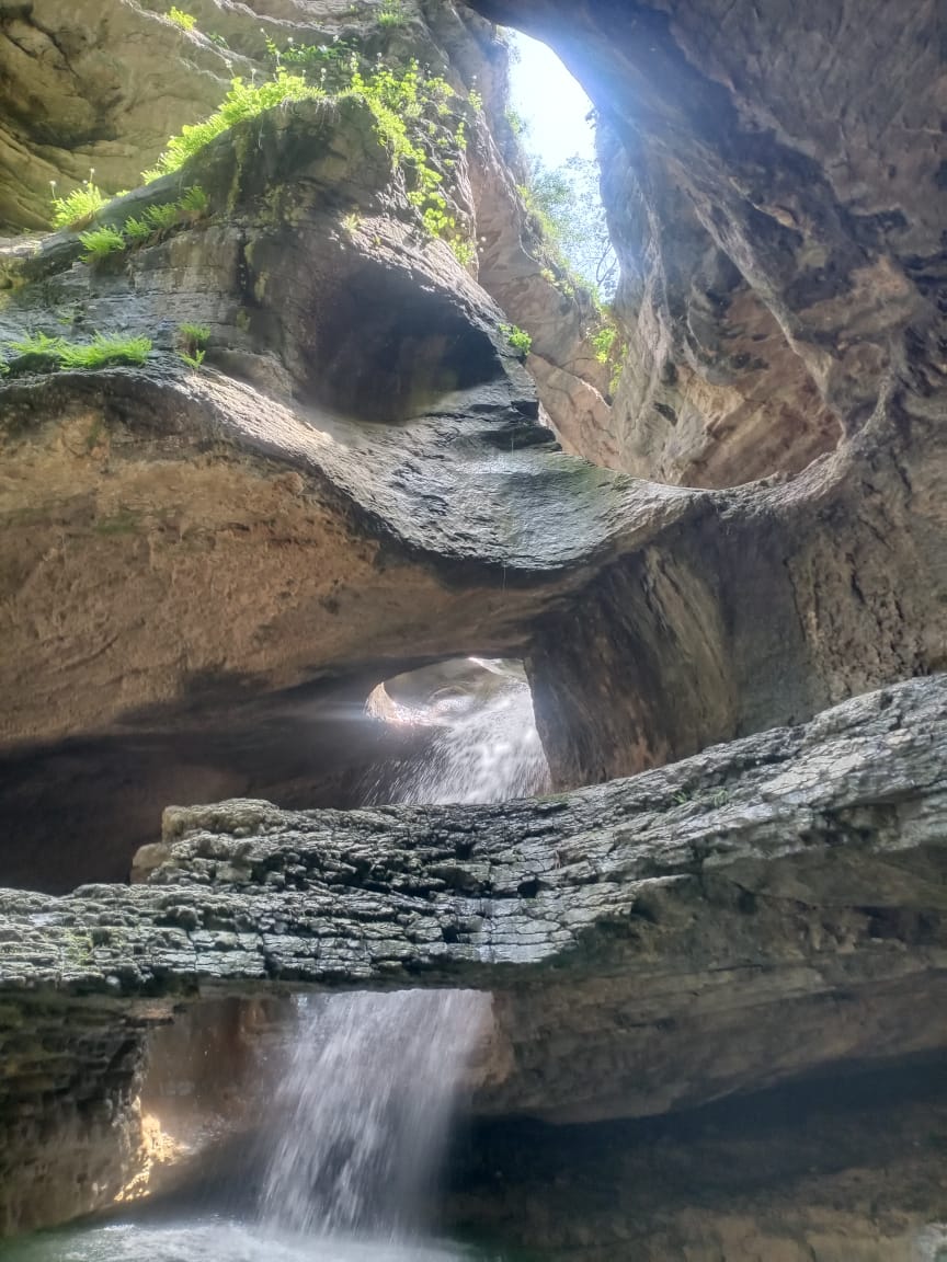 Водитель Гид Арсен