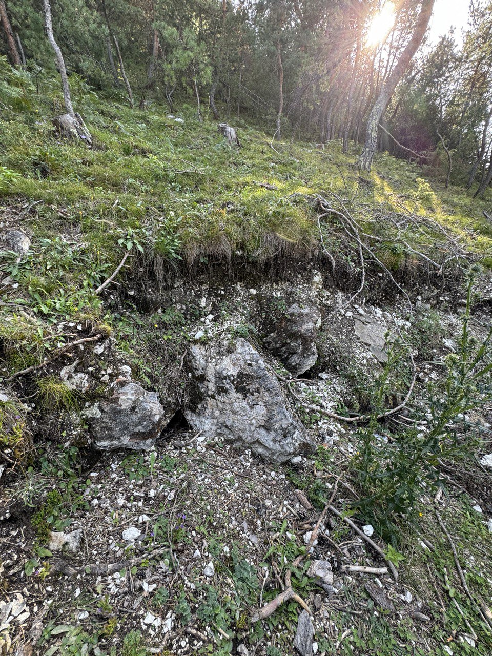 Природные холодильники в с. Цанатль