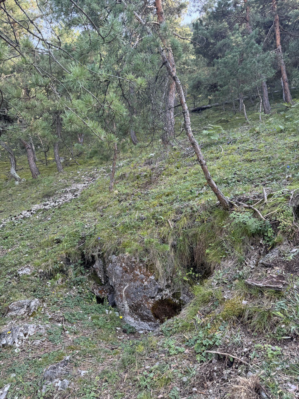 Природные холодильники в с. Цанатль