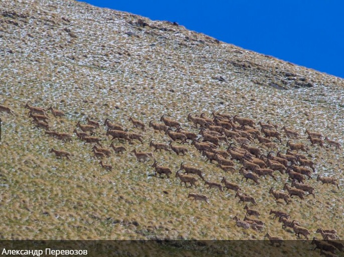 Тляратинский заказник