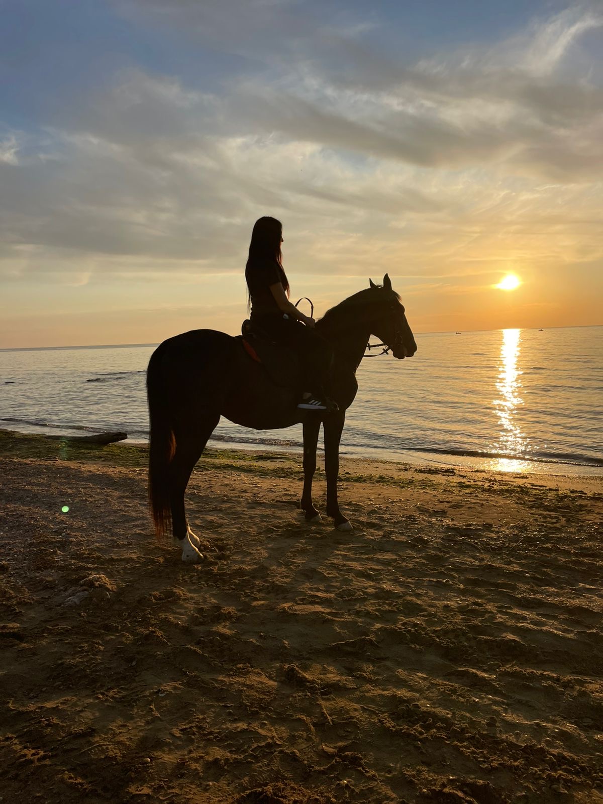 Конные прогулки в Дербенте