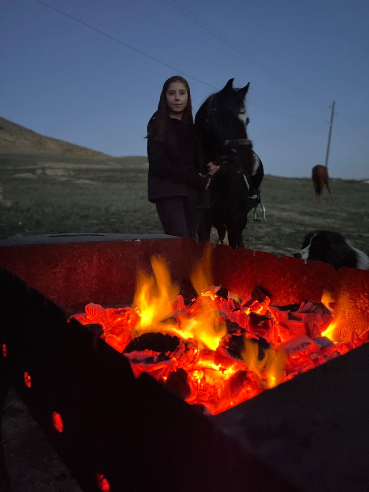 Конные прогулки в Дербенте