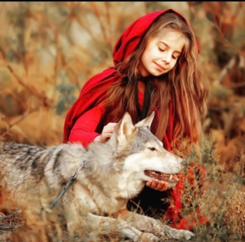 Конные прогулки в Дербенте