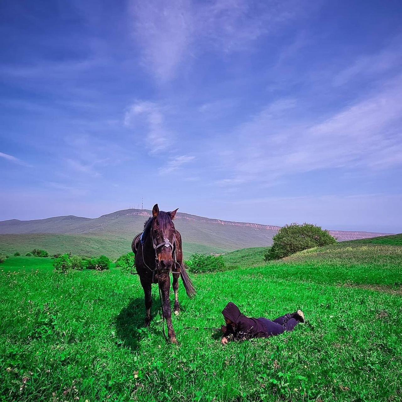 Конные прогулки в Дербенте