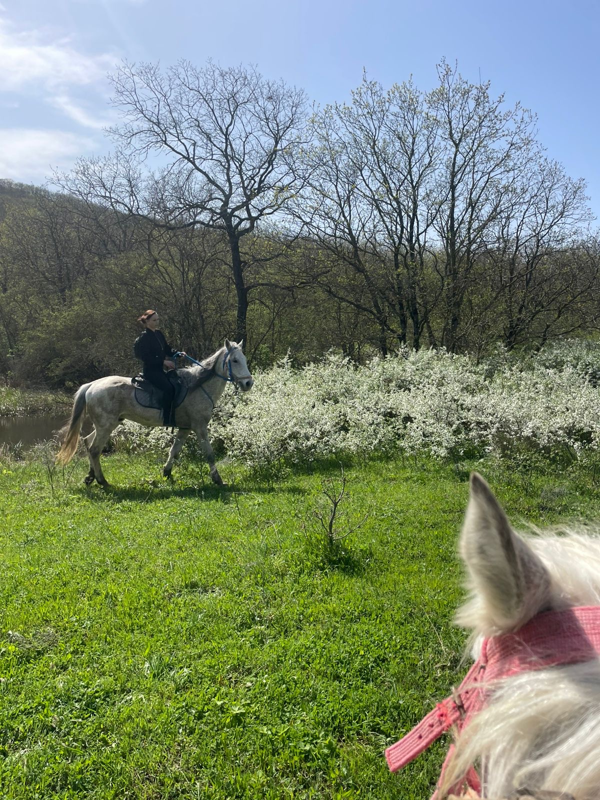 Конные прогулки в Дербенте
