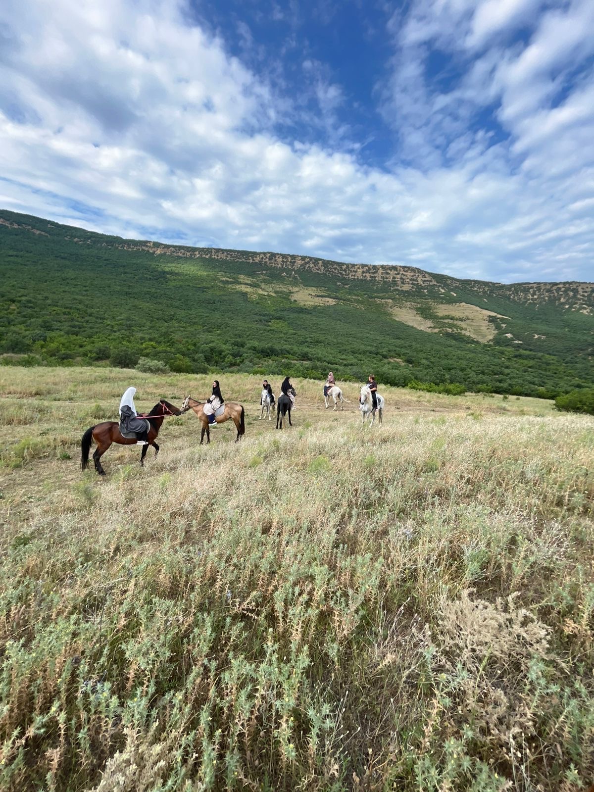 Конные прогулки в Дербенте