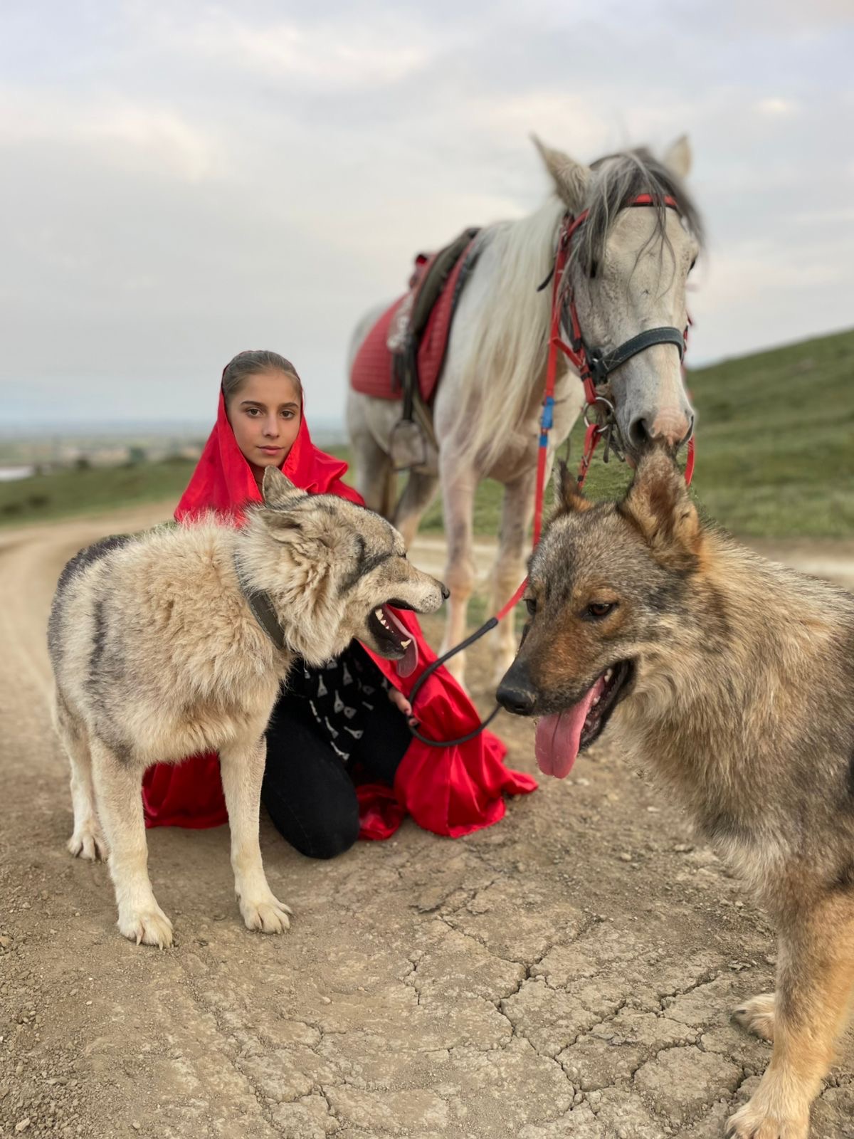 Конные прогулки в Дербенте