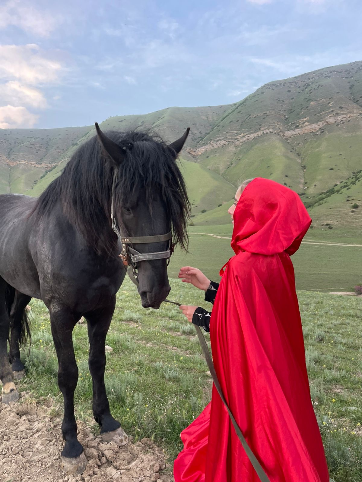 Конные прогулки в Дербенте