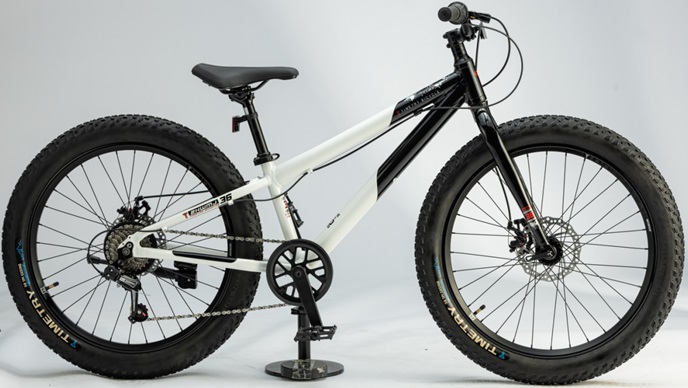TIMETRY TT290 R20