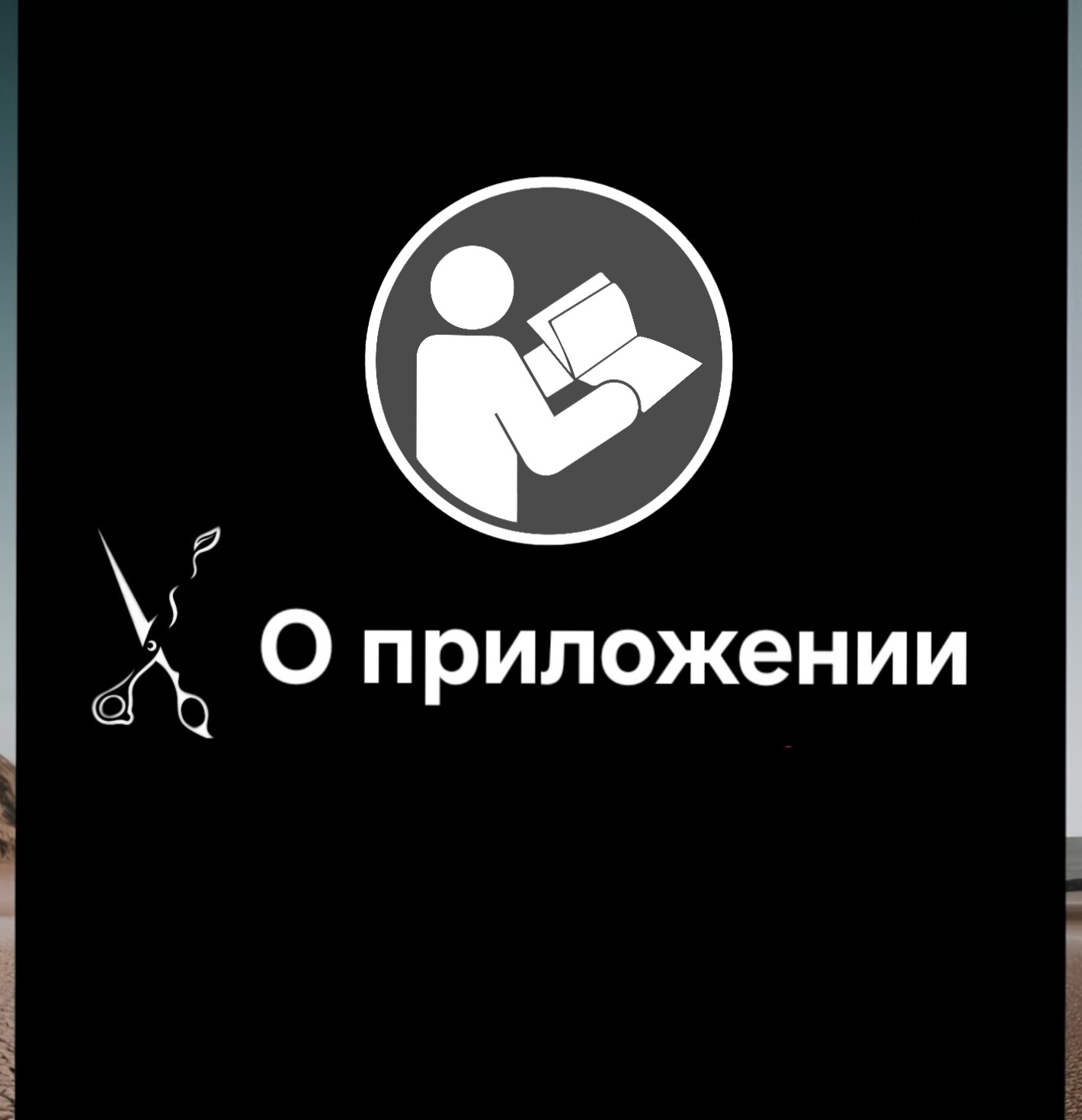 О приложении