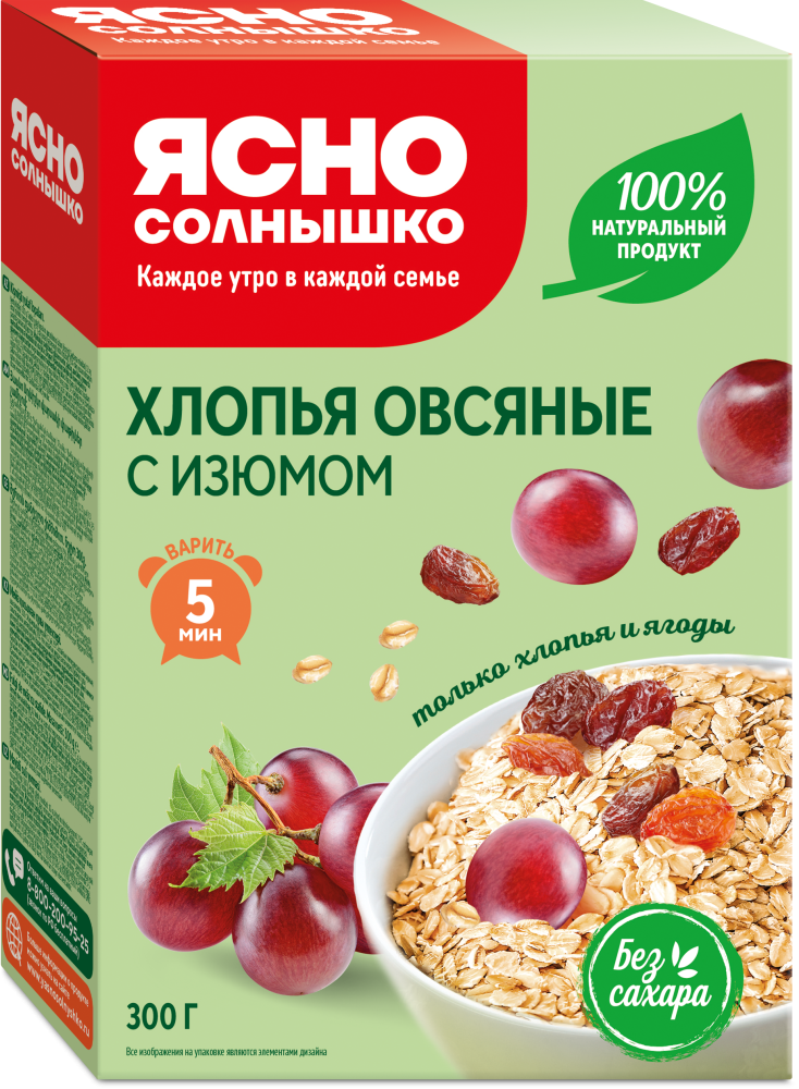ХЛОПЬЯ ЯСНО СОЛН ИЗЮМ КОР 300 ГР *8