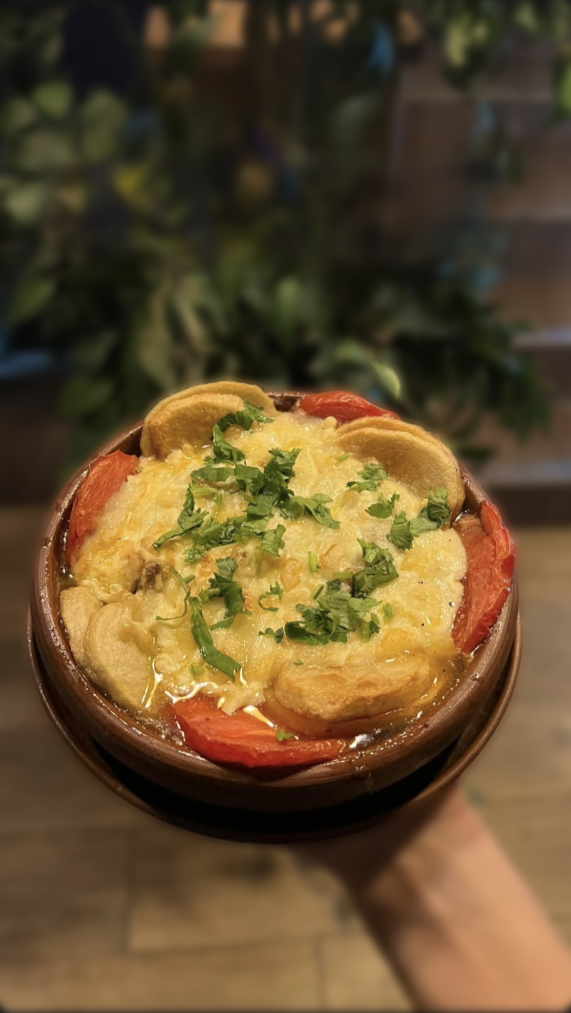 Мадам Бовари