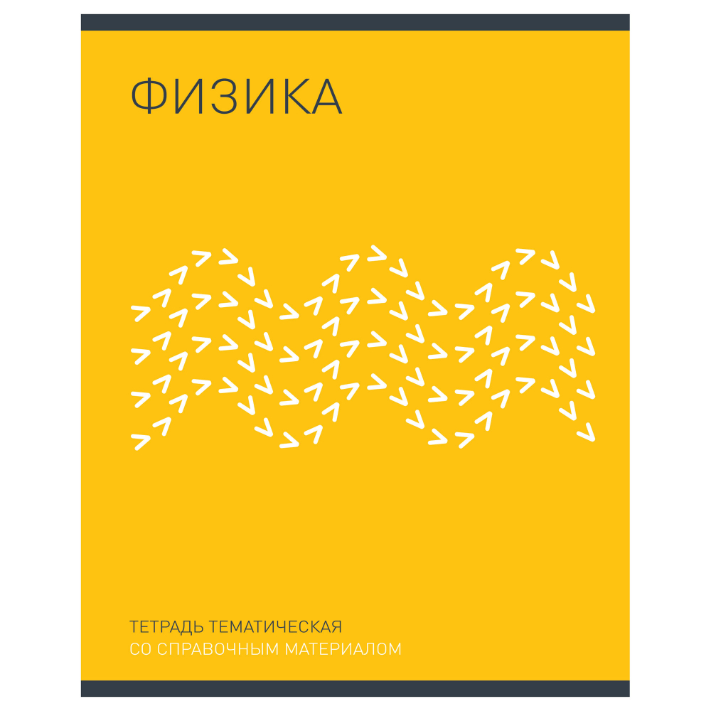 Тетр физика 48л скр А5 кл 10800-EAC тисн фольг Инфографика-серебро (гофр60_(3*20))
Штрих код: 4603008644199