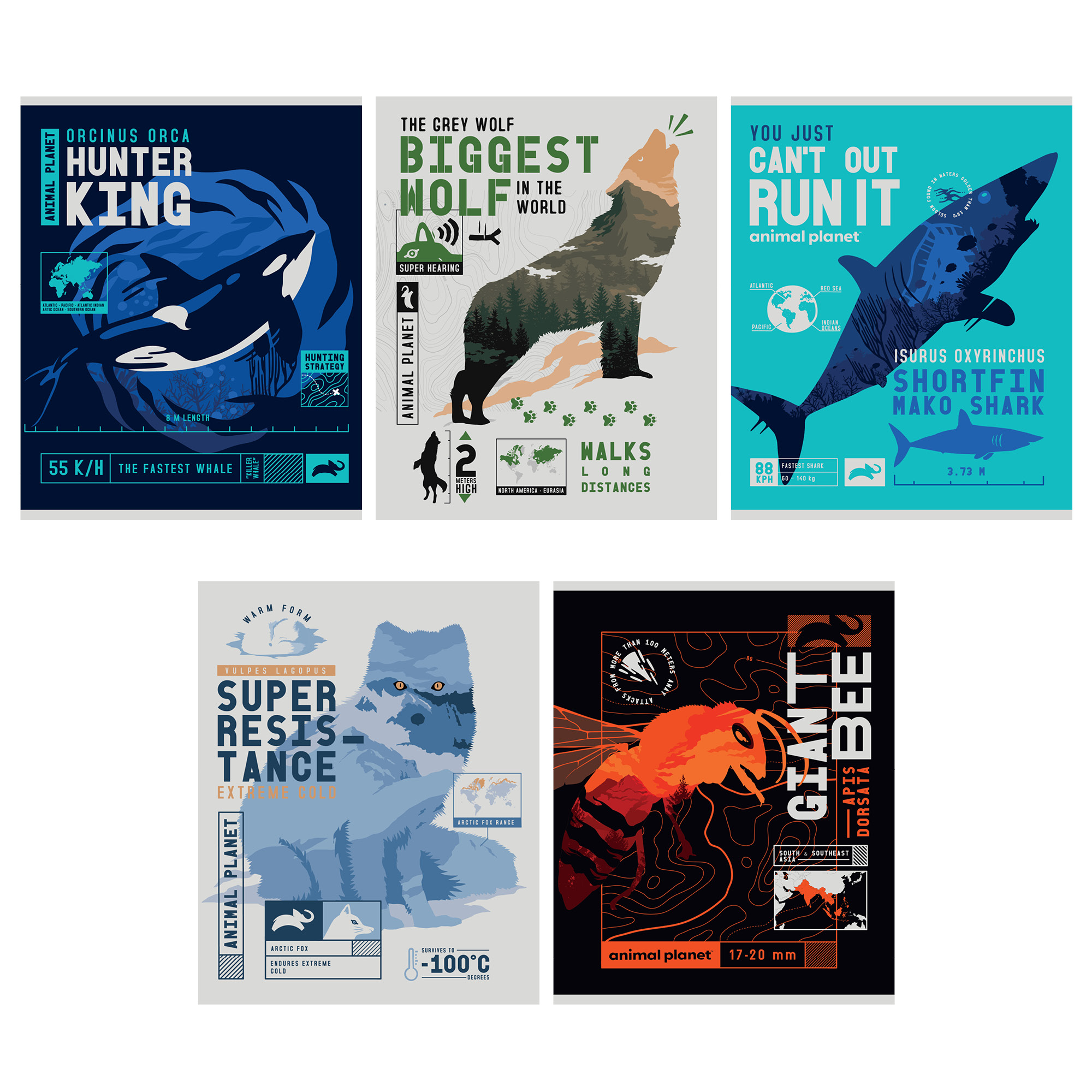 Тетр 96л скр А5 кл карт AP5/5-EAC выб УФ двойной Animal Planet (гофр30_(3*10); Декларация о соответствии ЕАЭС N RU Д-RU.РА02.В.29079/2)