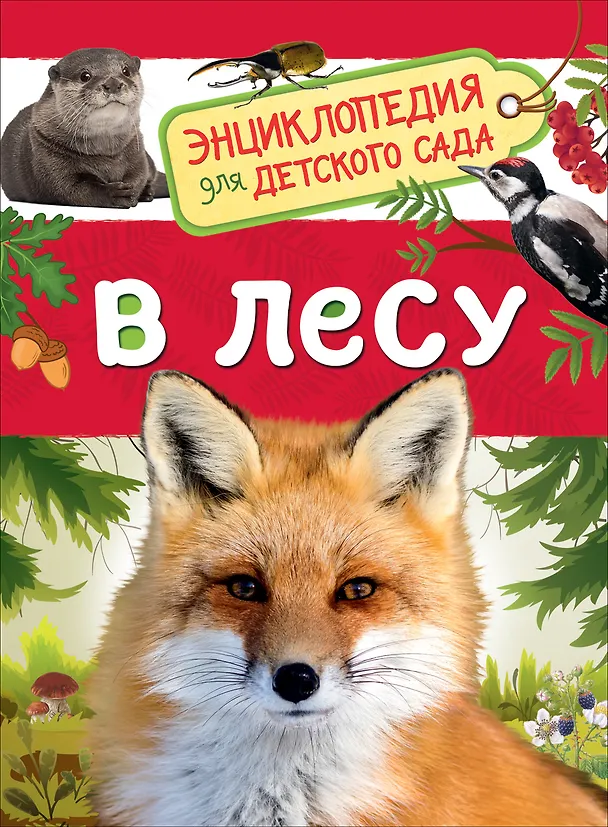 Энциклопедия для детского сада «В лесу». Росмэн