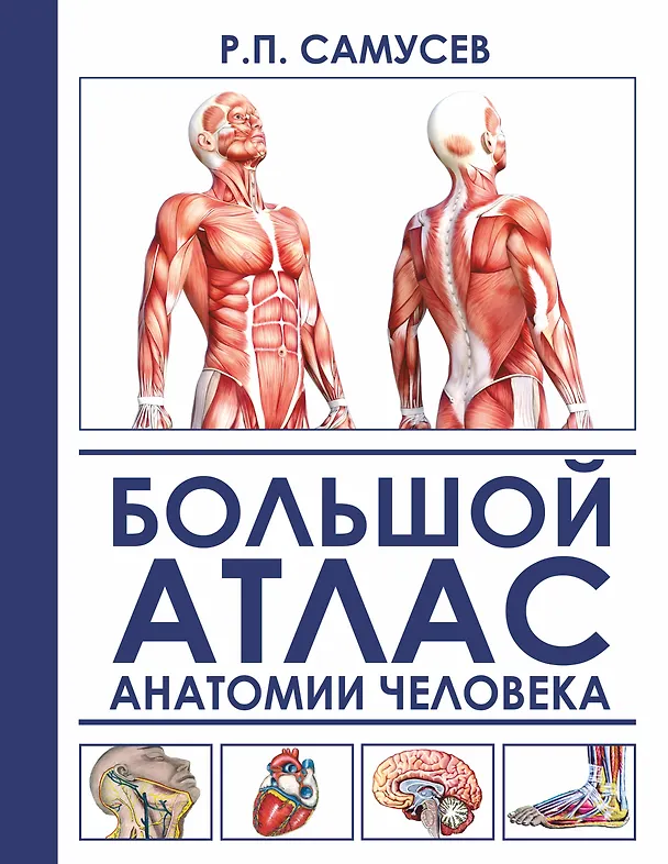 Рудольф Самусев: Большой атлас анатомии человека (А4)