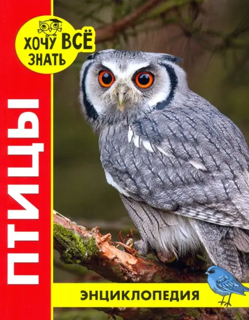 ХОЧУ ЗНАТЬ ВСЕ. Энциклопедия: Птицы. размер 200x255 мм