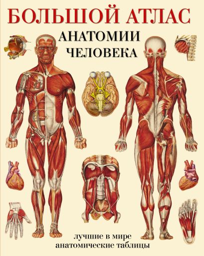 Большой атлас анатомии человека(в табл) АСТ