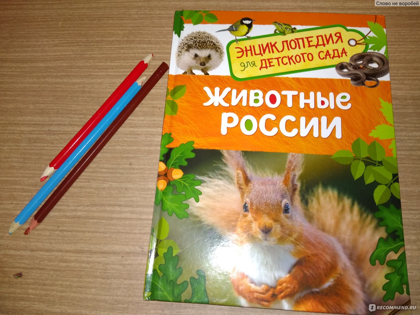Энциклопедия для детского сада «Животные России». Росмэн