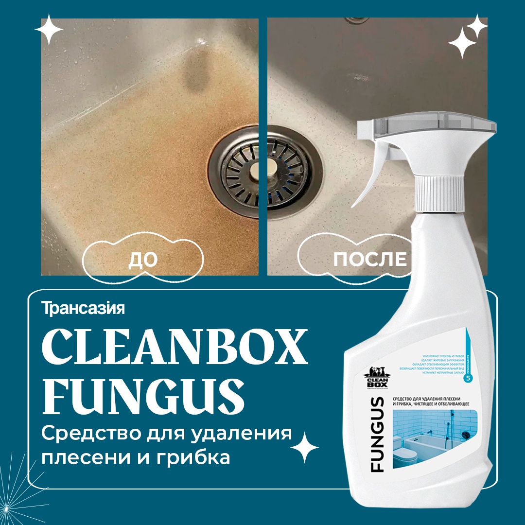 FUNGUS CleanBox средство для удаления плесени и грибка 0,5л