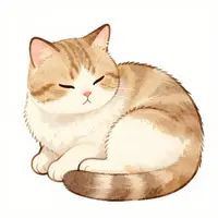 بلیوں والے گریٹنگ کارڈز