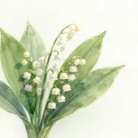 1-may tabriknomalari