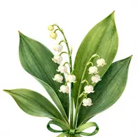 คำอวยพร 1 พฤษภาคม