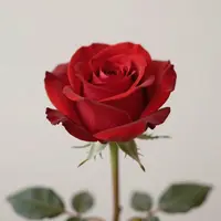 Признания в любви