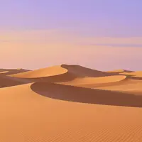 Desert Songs