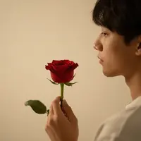 Dichiarazione d'Amore