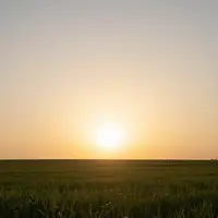 موسیقی امیدوارکننده