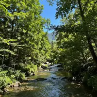 أصوات الطبيعة