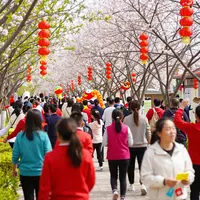 वसंत उत्सव