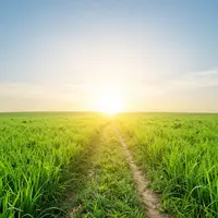 Новые начинания