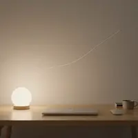 プロフェッショナル・フォーカス