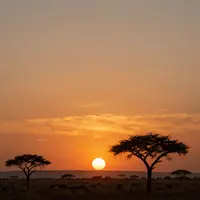 غروب الشمس الأفريقي
